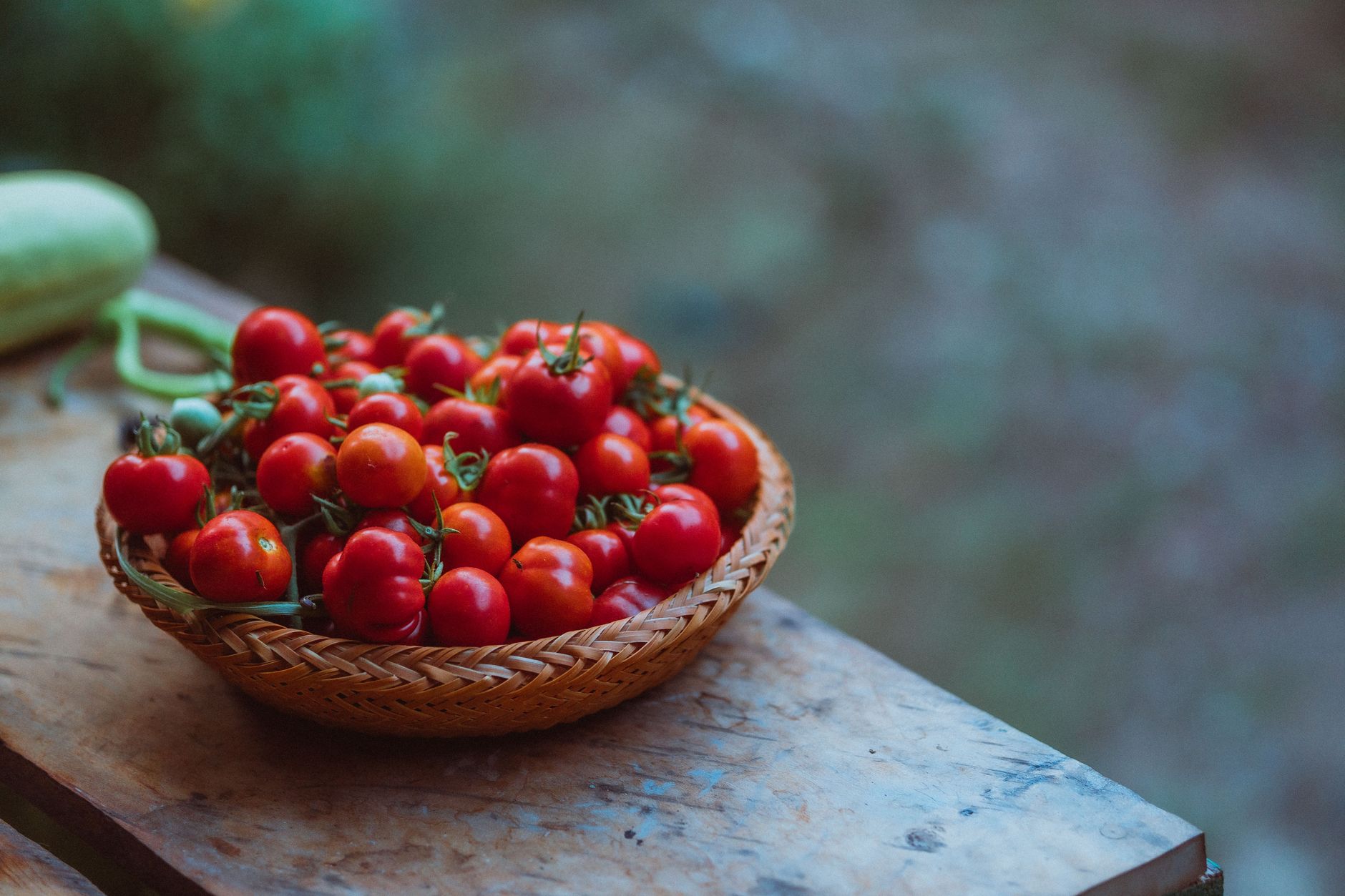Bakul anyaman penuh tomato ceri merah baru dipetik di atas meja kayu